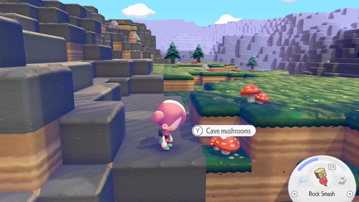 Cave Mushrooms in Rocky Ridges