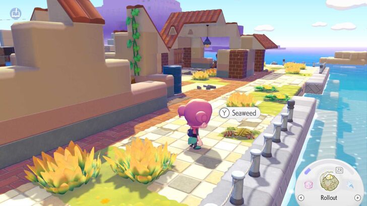 Seaweed in Bleak Beach