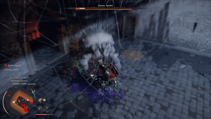 Focus on Queen Spider