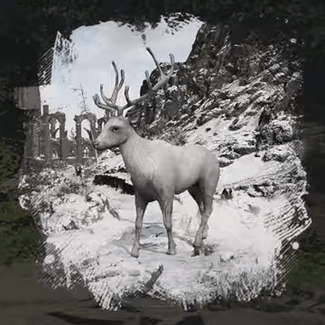 Snowwhite Deer Image