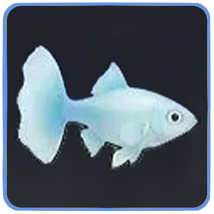 Seven Deadly Sins Origin- Sapphire Guppy