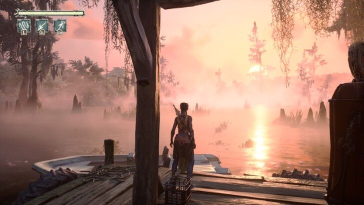 Looking At The Sunset