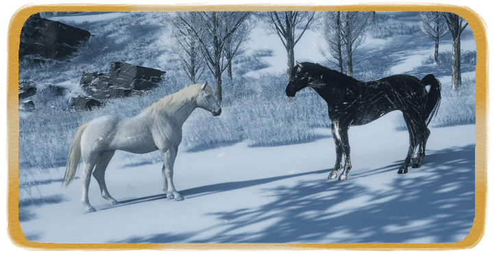 WWM - Where the Wild Thing Is