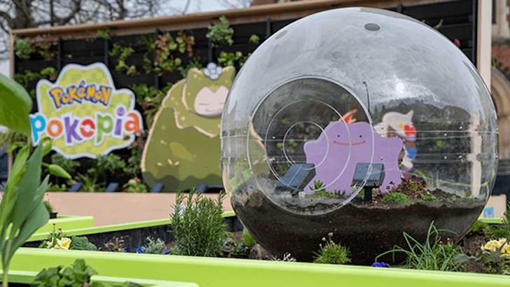Pokémon Pokopia terrarium
