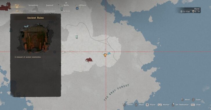 The Grey Forest Ruins Map