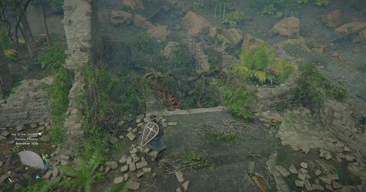 Memory-Laden Ruins Location