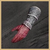 Skyblazer Leather Gloves Icon