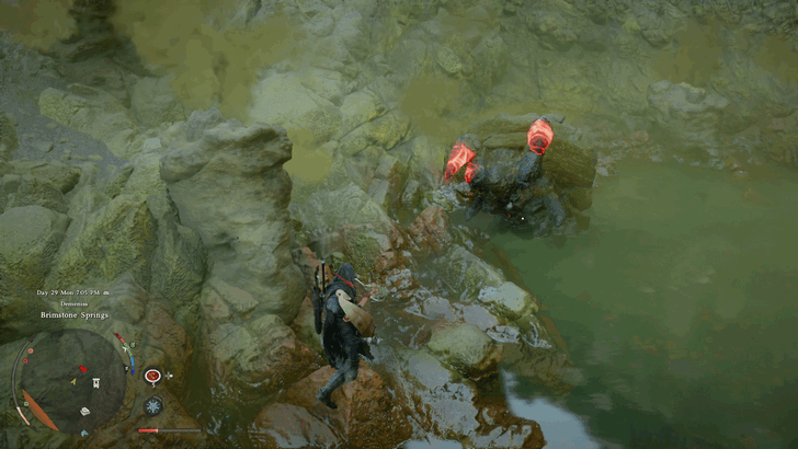 Hexe Brimstoneback Crab