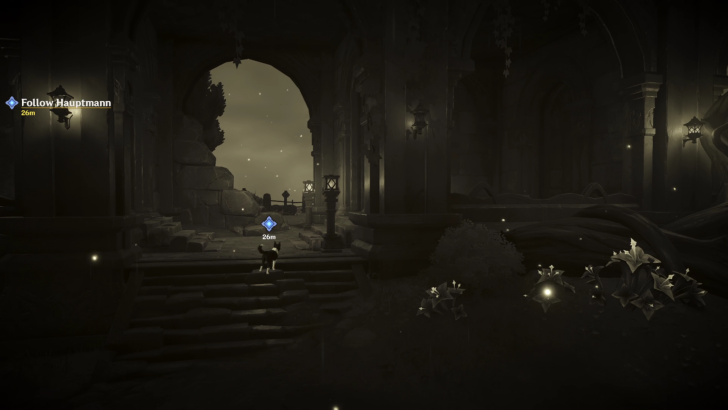 Genshin - Follow Hauptmann