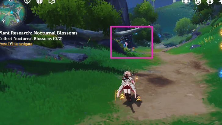 Collect Nocturnal Blossoms