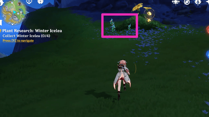 Collect Winter Icelea