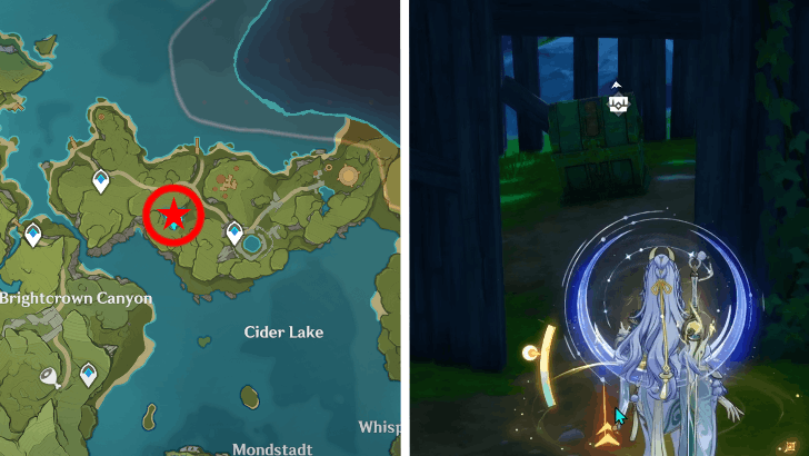 Dornman Port Remarkable Chest 1