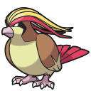 Pidgeot