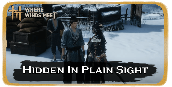 Hidden in Plain Sight