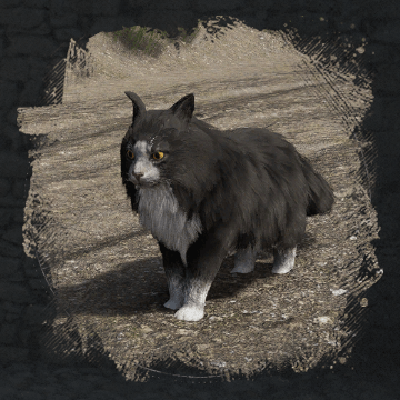 Long-Haired Cat Image