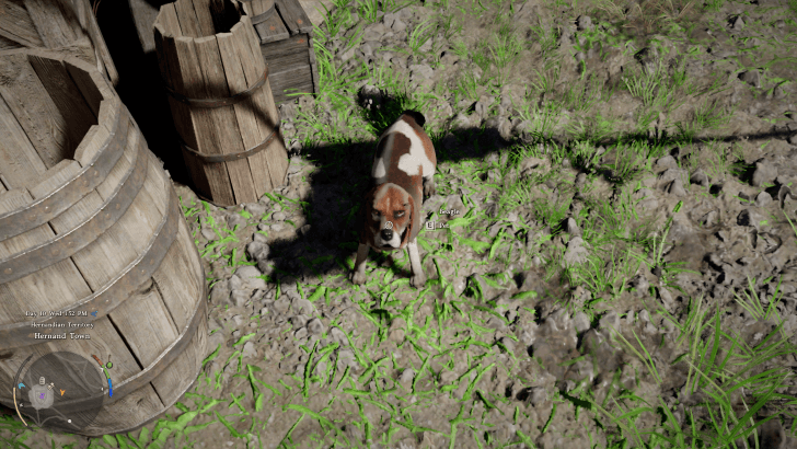 Beagle Overworld Image