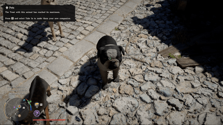 Floppy-Eared Bulldog Overworld Image