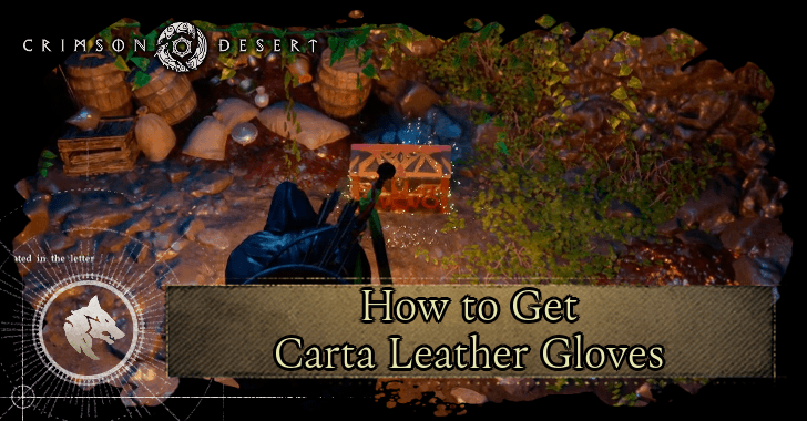 How to Get Carta Leather Gloves