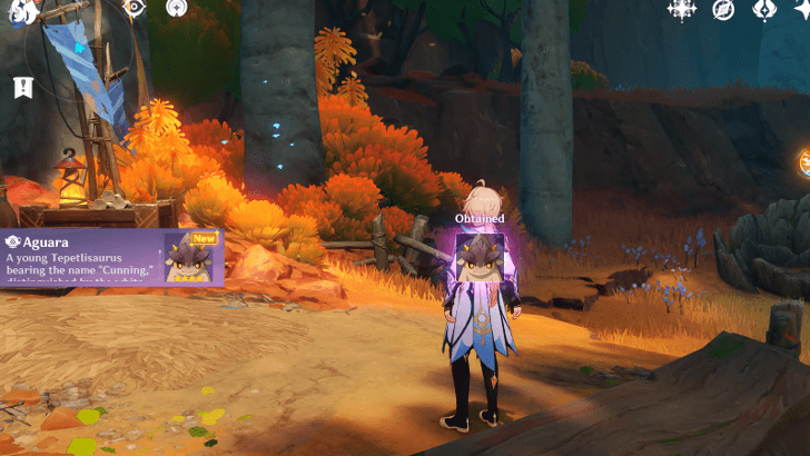 Animal Companion in the Teapot