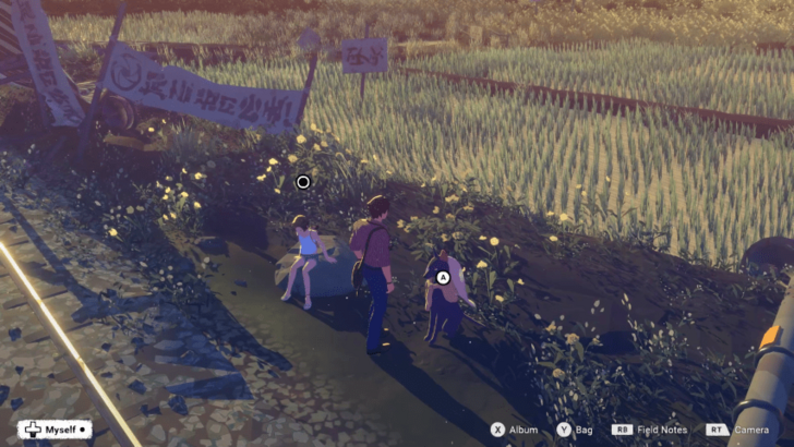 Exploring Rice Paddy Fields in New Spiritwood