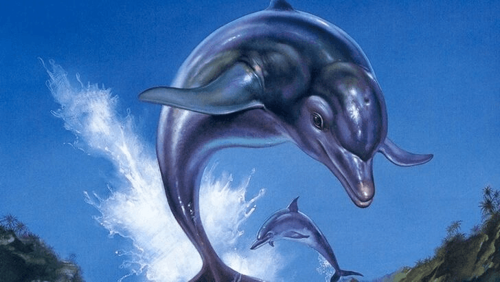 Ecco the Dolphin Cover Art