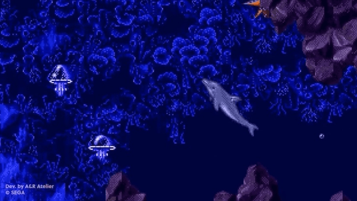 Ecco the Dolphin swimming with jellyfish