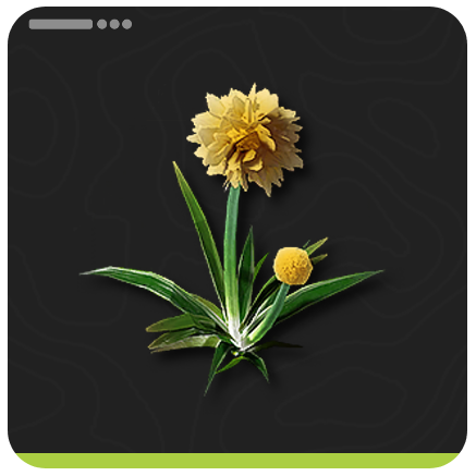 Fluffed Jincao Item