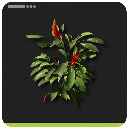Tartpepper