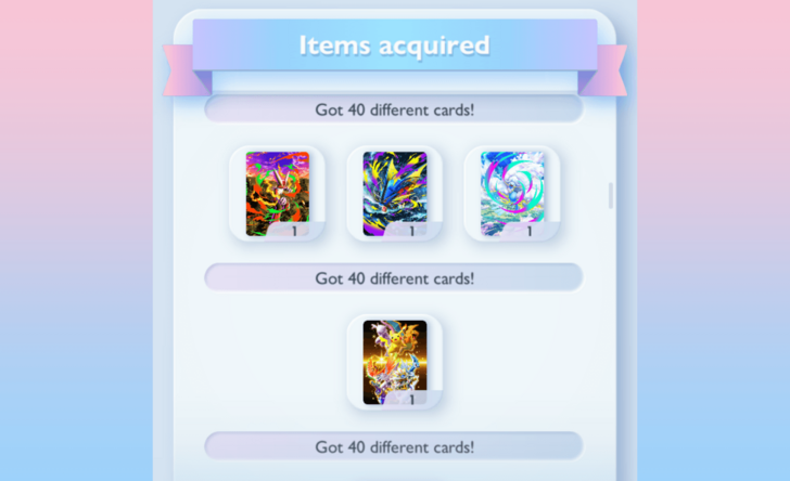 Binder Covers for Getting 40 Different Cards