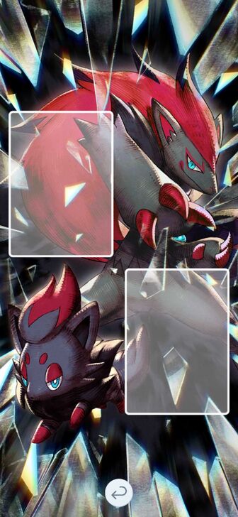 Zoroark & Zorua Backdrop Display Board Backdrop