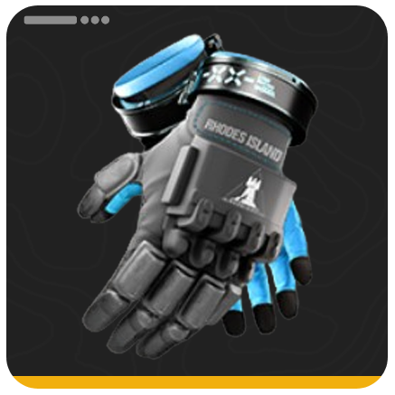 LYNX Gloves