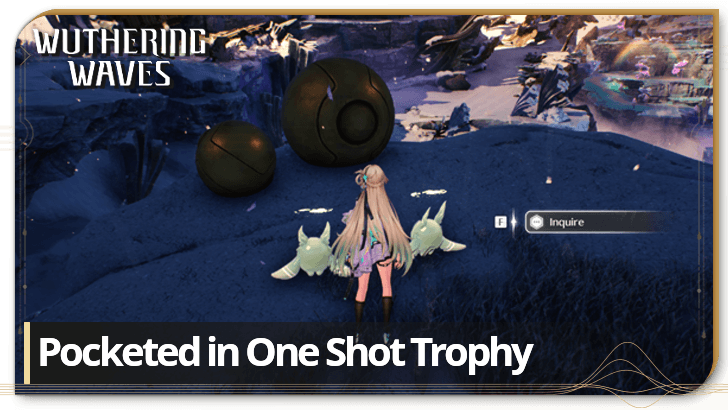 Pocketed in One Shot Trophy Guide | Wuthering Waves (WuWa)｜Game8