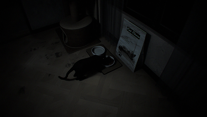 dread neighbor you can feed the cat