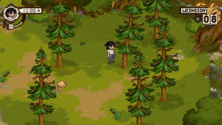 Grave Seasons forest