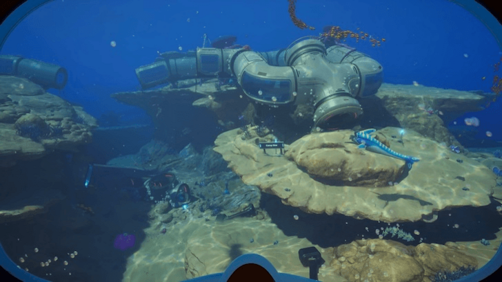 First-person view of a shallow coral reef