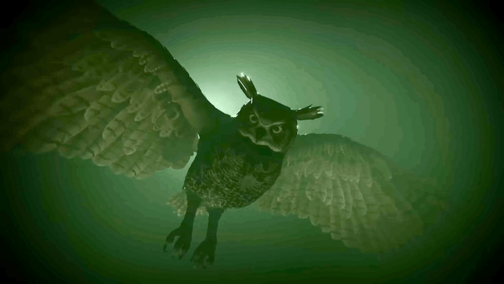 Owl illuminated in green lighting