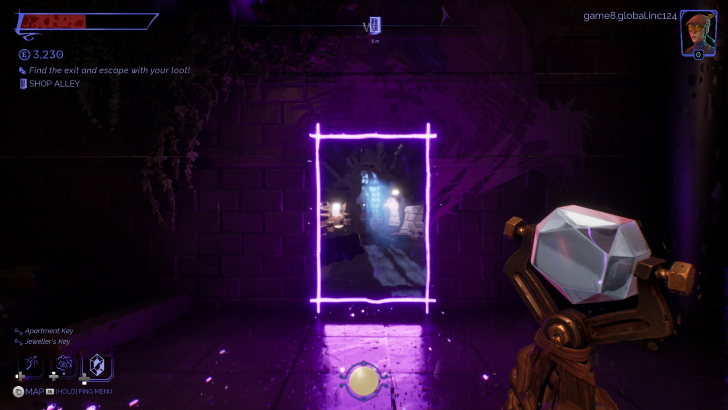 thick as thieves magical door