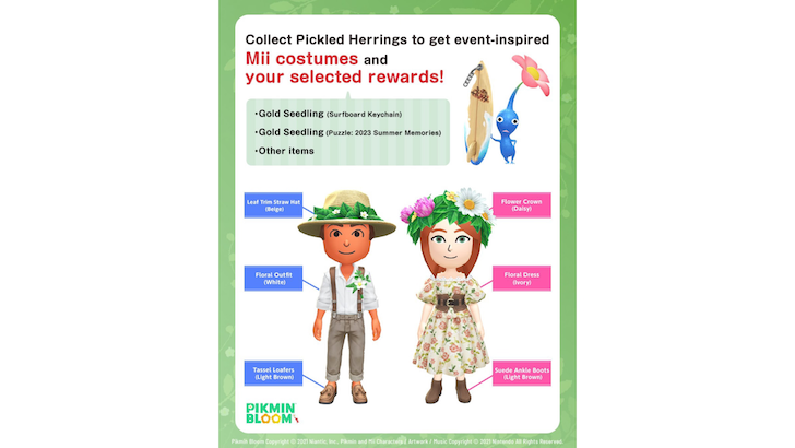 Mii costumes and rewards