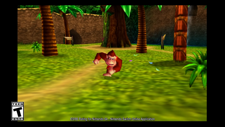 dk64 switch donkey kong gameplay