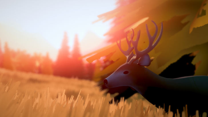 deer in sunlit field