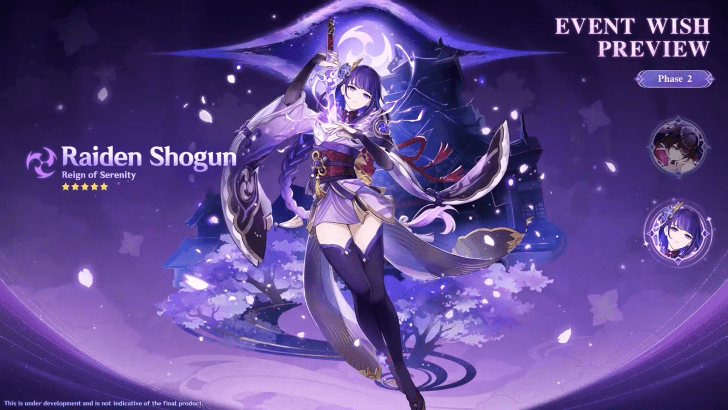 Raiden Shogun Banner