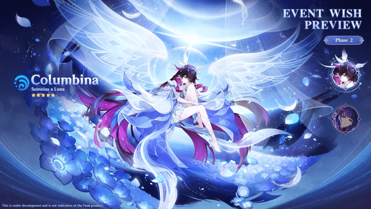 Columbina Banner