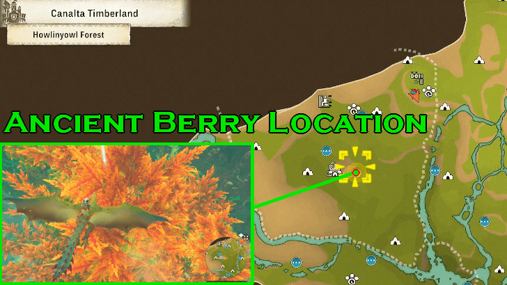 Ancient Berry Location