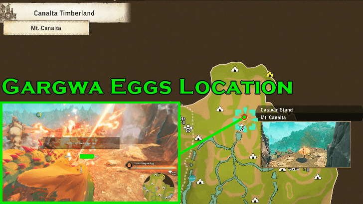 Gargwa eggs Location