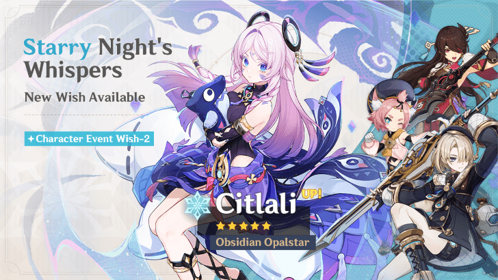 Genshin Impact - Starry Night