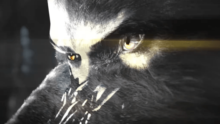 valko love and deepspace wolf transition