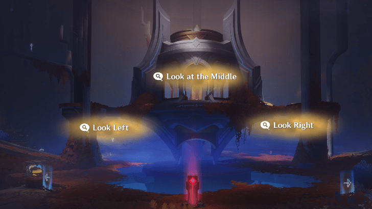 Examine the Inside of the Trunk Through the Gap