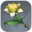 Lost Flower of Ancient Times Image