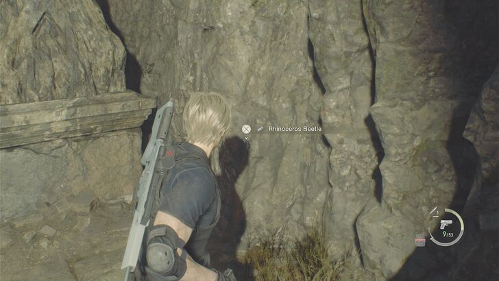 Rhinoceros Beetle Island Location