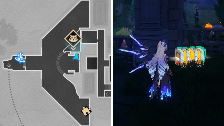 HSR Fallen Star